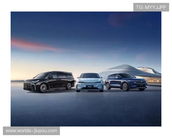 以色列足协抗议挪威足协捐赠比赛收益决定