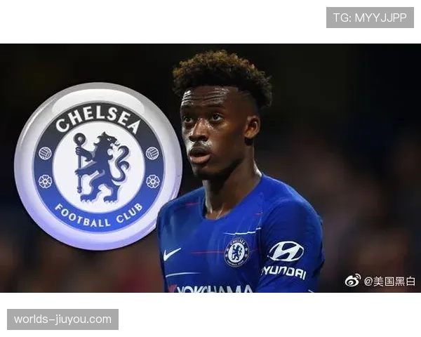 切尔西·格雷与王牌队续约三年，继续辅佐威尔逊